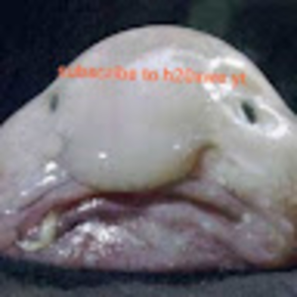 I Sell Clothes I Dont Need